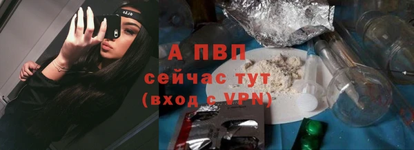 стафф Медногорск