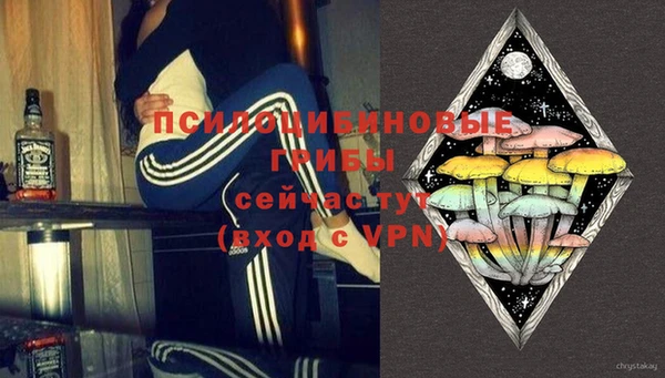 ECSTASY Майский