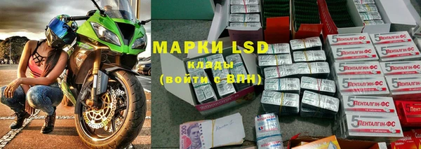 ECSTASY Майский