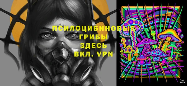 соль ск Медвежьегорск