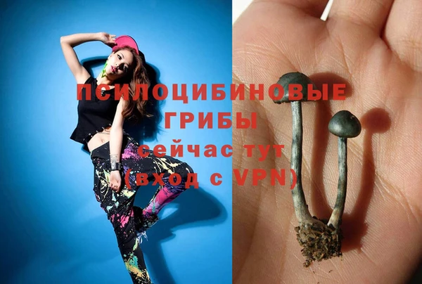ECSTASY Майский