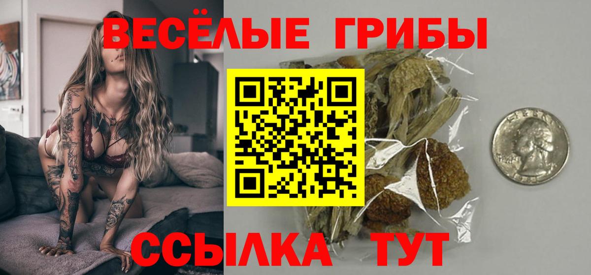 Галлюциногенные грибы ЛСД  Волгодонск  Галлюциногенные грибы мицелий 